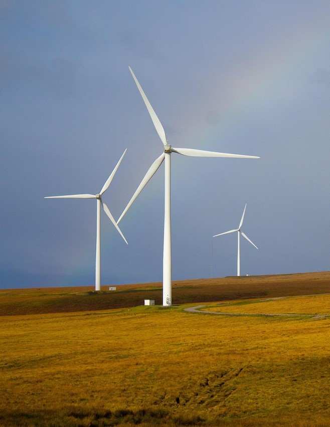 Wind Engineer